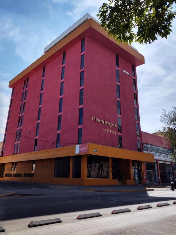 Hotel Flamingos Гвадалахара Экстерьер фото